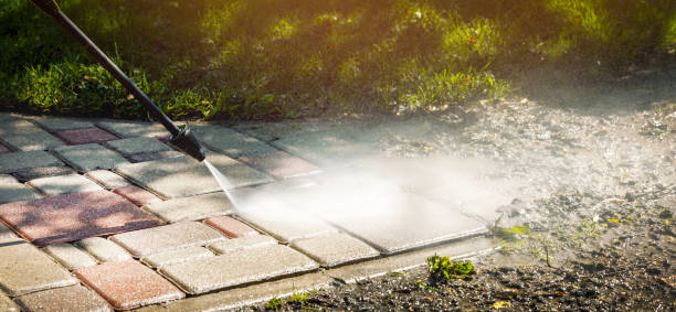 Animal Enclosure Cleaning in Tremonton, UT
